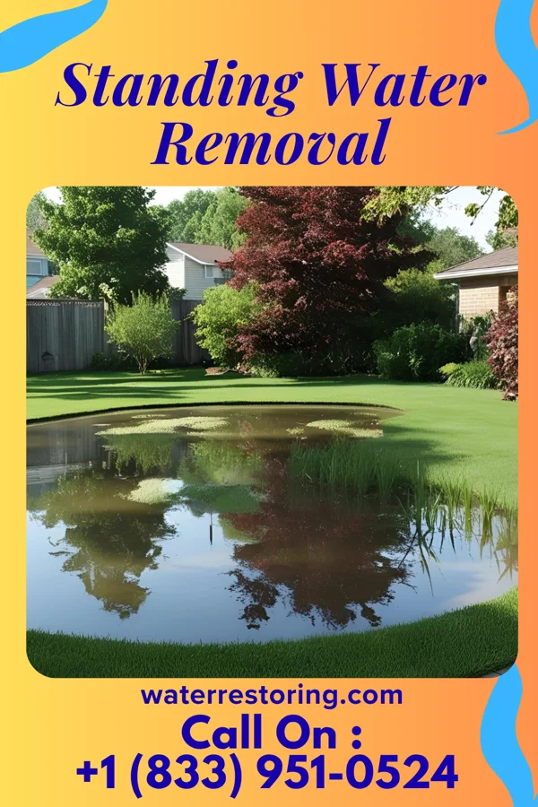 Standing Water Removal in Cochran, GA